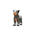 Houndour sprite