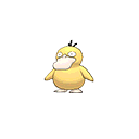 Psyduck sprite