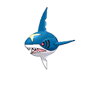 Sharpedo sprite