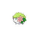 Shaymin sprite